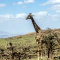 TZA ARU Ngorongoro 2016DEC23 063 : 2016, 2016 - African Adventures, Africa, Arusha, Date, December, Eastern, Month, Ngorongoro, Places, Tanzania, Trips, Year